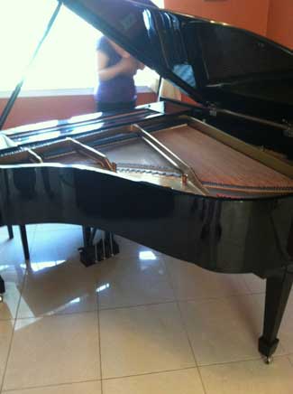 1915 Steinway Model M. Freehold New Jersey Seller Forced to Sell It Now.